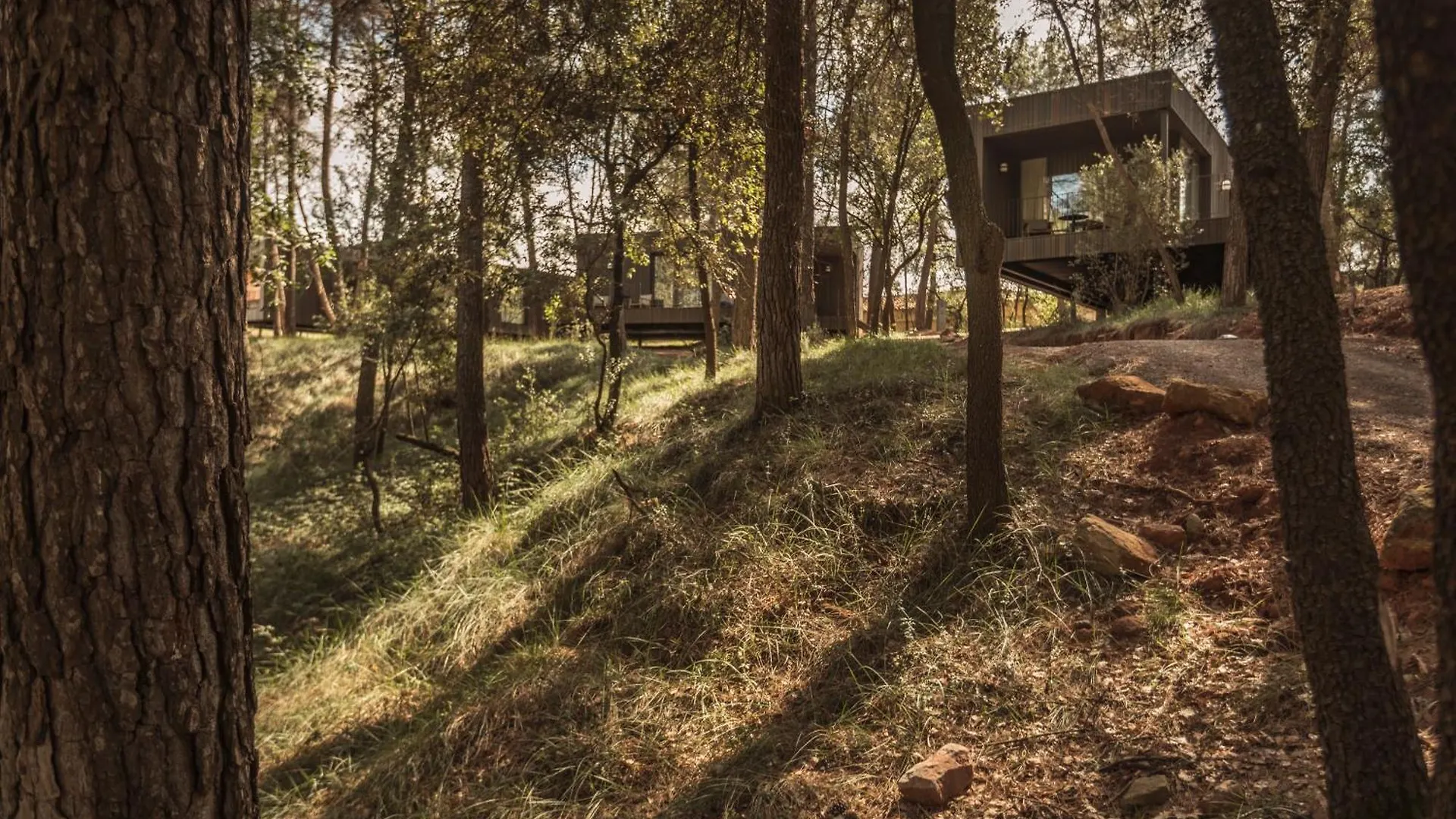 Lodge Les Cabanes De L'Oller Del Mas Manresa Spanje